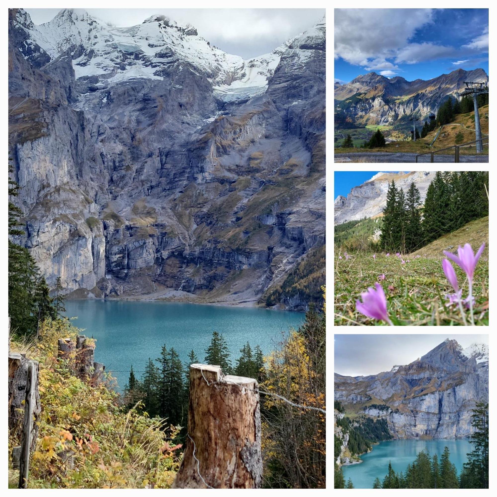 Ferienwohnung Sonnenseite Brienz Brienz  Dış mekan fotoğraf